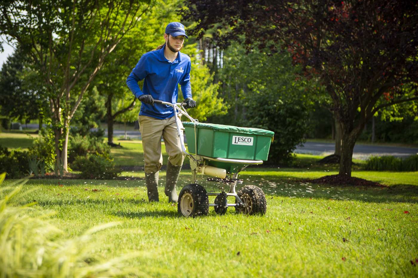 How To Fix A Lawn 4 Options For Haymarket Gainesville And Warrenton Va 